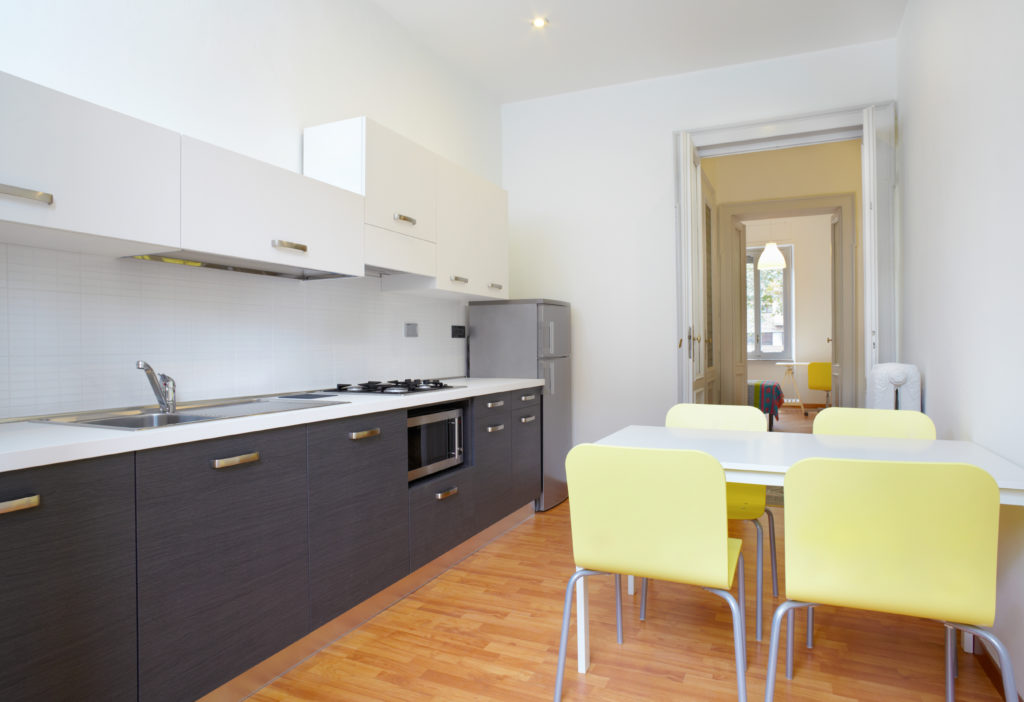 Modern kitchen in new apartment