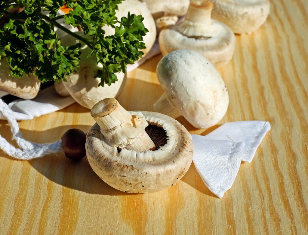 mushrooms-3199517_1920